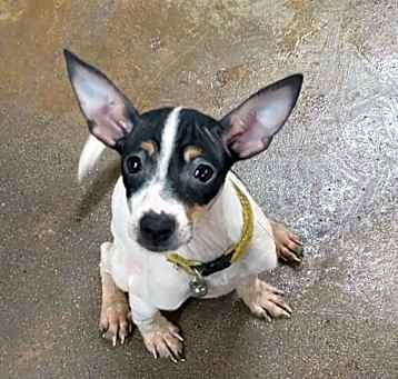 Photo of Oliver