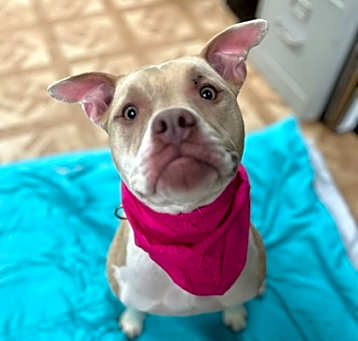 Photo of Ariel