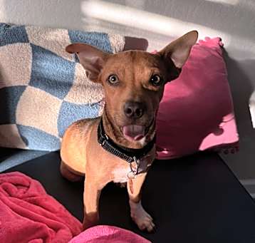 Photo of EDGAR