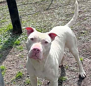 Photo of casper