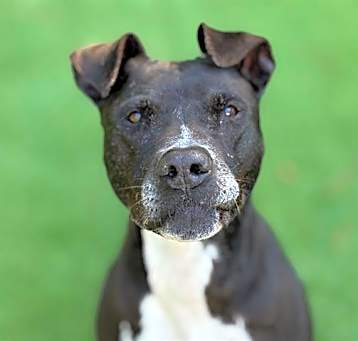 Photo of JAVA