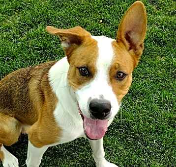 Photo of Truett 42216