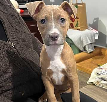 Photo of Bonnie