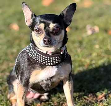 Photo of Krissy