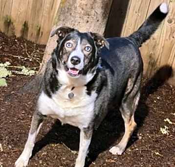 Photo of Freyja