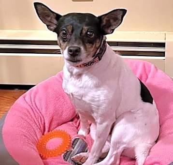 Photo of Lucky