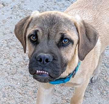 Photo of HOLDEN