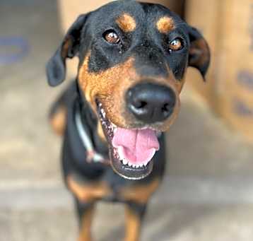 Photo of Dakota