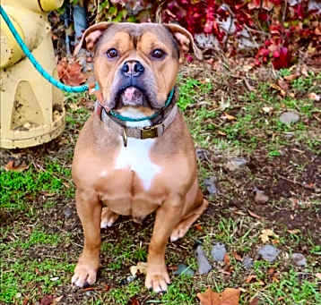 Photo of Ulysses