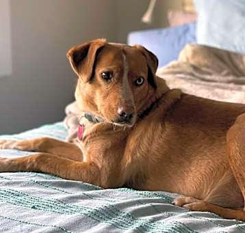 Photo of Hailey