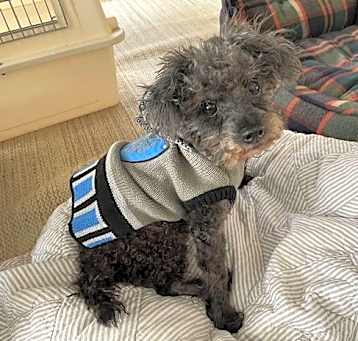 Photo of Skippy