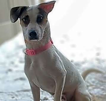 Photo of Adora