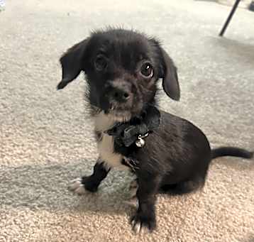 Photo of Zeus