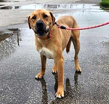 Photo of Murphy