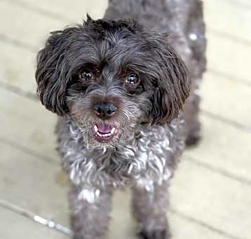 Photo of Lucy