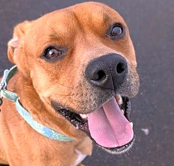Photo of Wendell