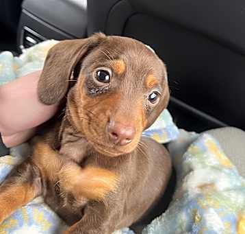 Photo of Ernie