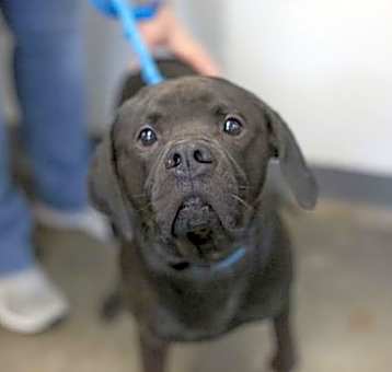 Photo of Storm