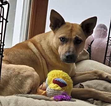 Photo of Annie