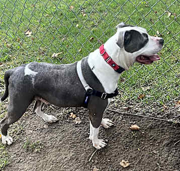 Photo of Jojo