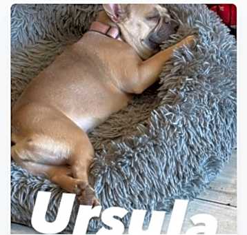 Photo of Ursula