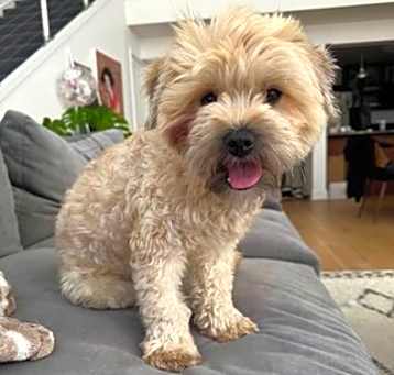 Photo of Mochi D5717