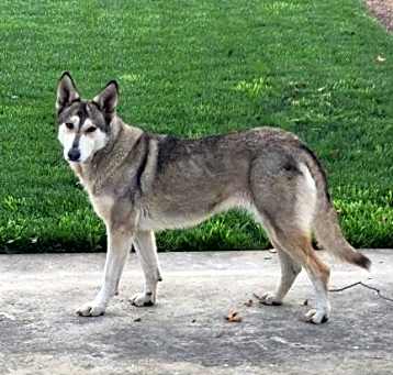 Photo of Sally