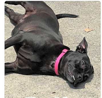 Photo of Betty