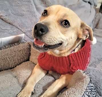 Photo of Fiona