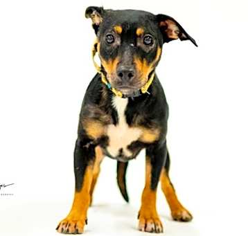 Photo of Libby