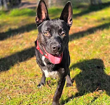 Photo of Evangeline