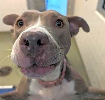 Photo of ELSA