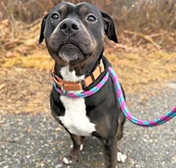 Photo of Dora