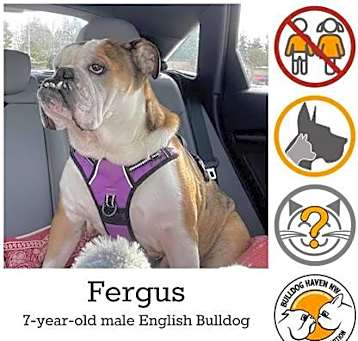 Photo of Fergus