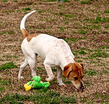 Photo of Zeedee