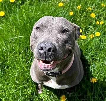 Photo of Sally