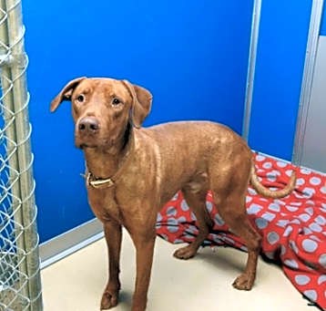 Photo of Zeus