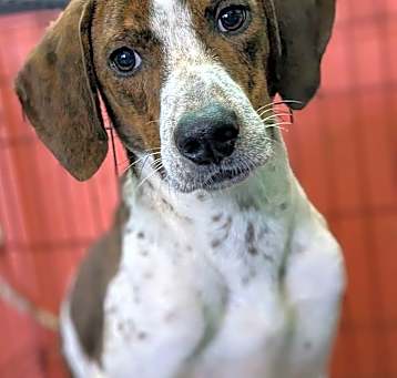Photo of Jack Jack