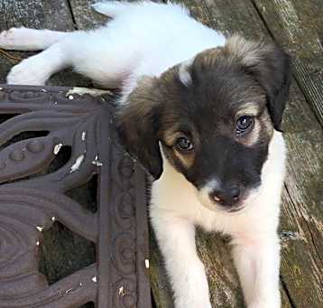 Photo of Athena