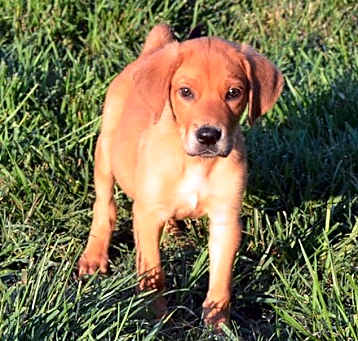 Photo of Arlo