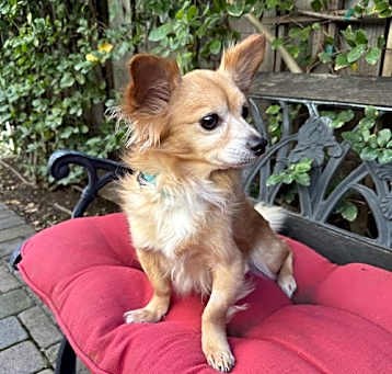 Photo of Elario