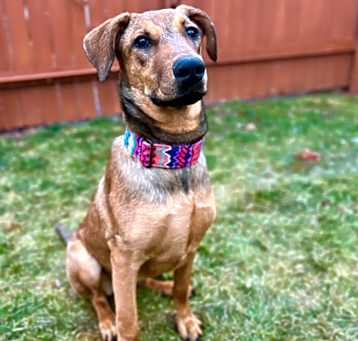Photo of Aspen