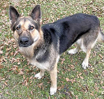 Photo of Dakota