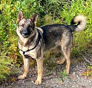 Photo of Ruby