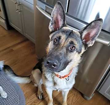 Photo of Atlas