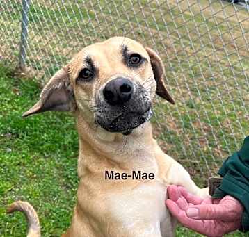 Photo of Mae-Mae