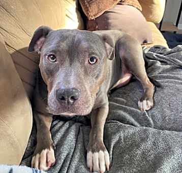 Photo of Sybil