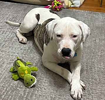 Photo of Lena