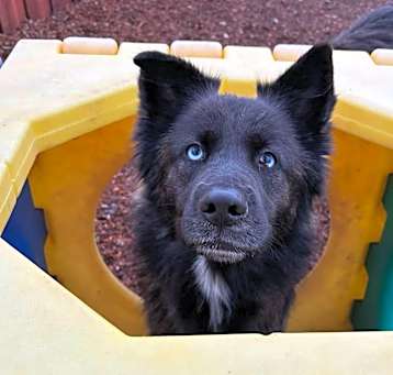 Photo of Georgie