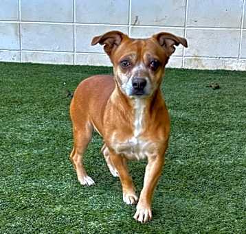 Photo of SADIE 8881